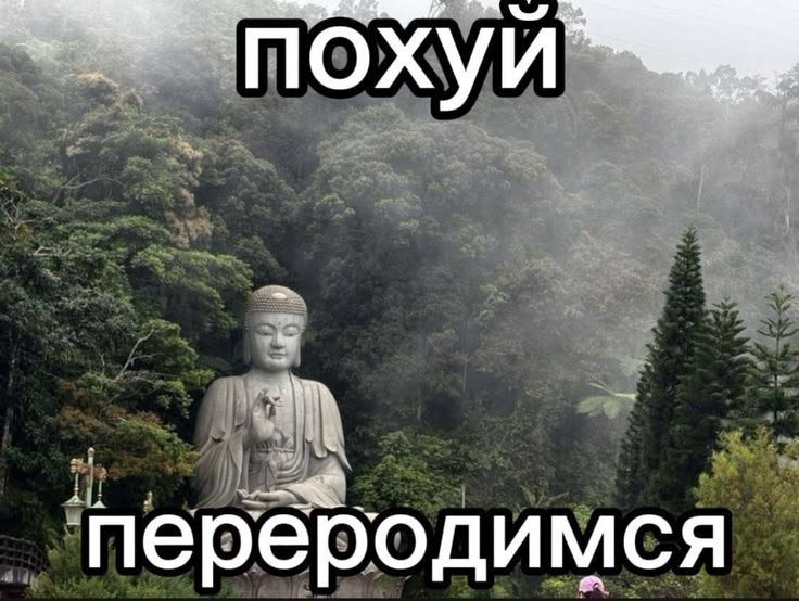 Всем привет, я в интернете!!! — k13-14 · Стрекоза