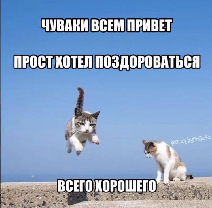 Доброе утро :3 — Clude · Стрекоза