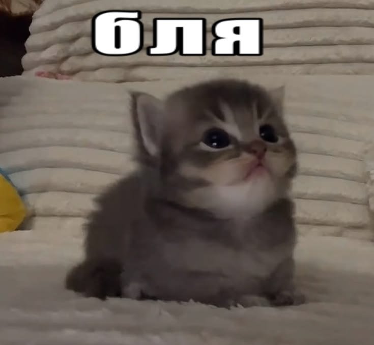 в рот я шатал того, кто решил что работать с утра самая лучшая идея — Shadow_Cat · Стрекоза
