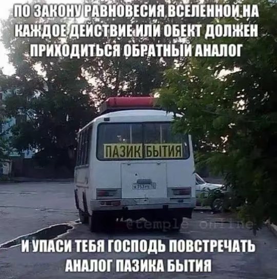 Шунгарантье якое смотрит вдаль, ведает мне всякие не смешные мыслюки.… — Sosilka · Стрекоза