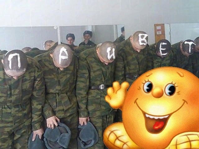 доброго утра всем молодым и горячим — danizzimo · Стрекоза