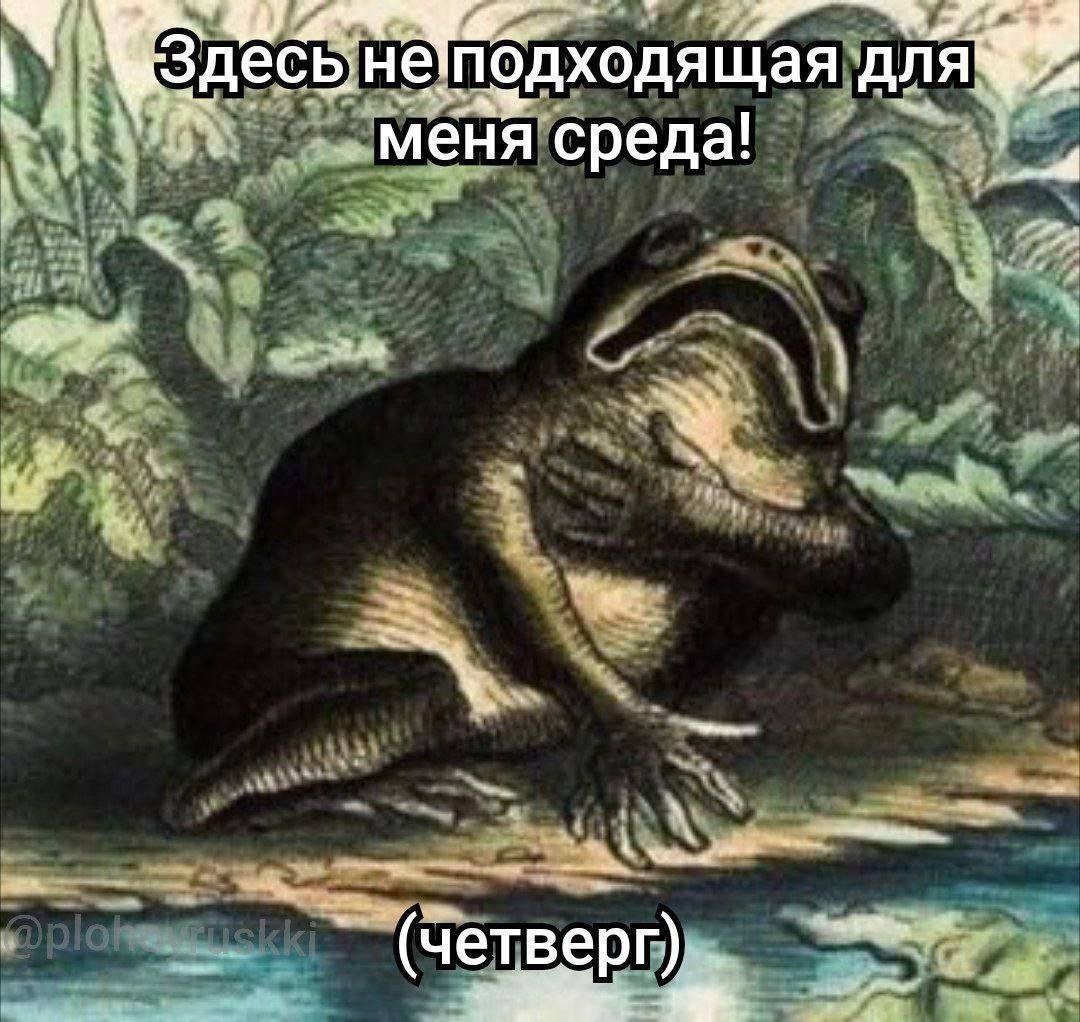 доброе утро чуваки и хорошего вам денёчка — tequila_sunset · Стрекоза