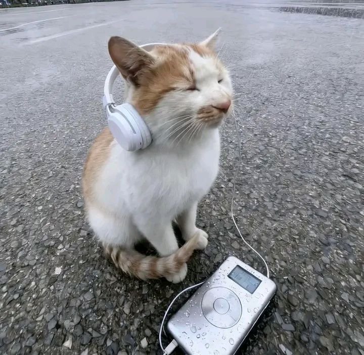 BEN FM в эфире! — konstantin · Стрекоза