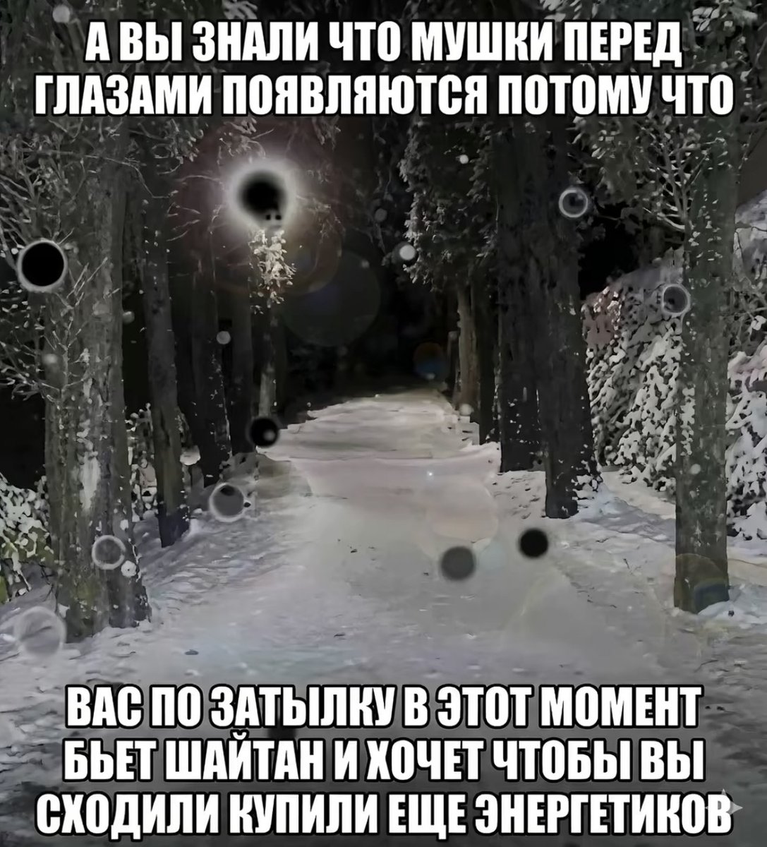 сегодня очень плохое самочувствие бабка опять помирает домозгоебились… — immemorial_silence · Стрекоза