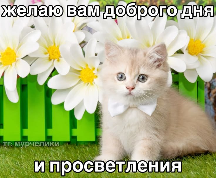 мне нужно отлучиться.. если что, пишите. я все прочту обязательно. вс… — emiliaaoaa · Стрекоза