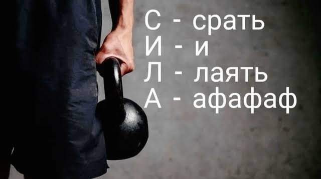 Сука это моч любимая картинка я уссыкаюсь с нее как в первый раз — Luta · Стрекоза