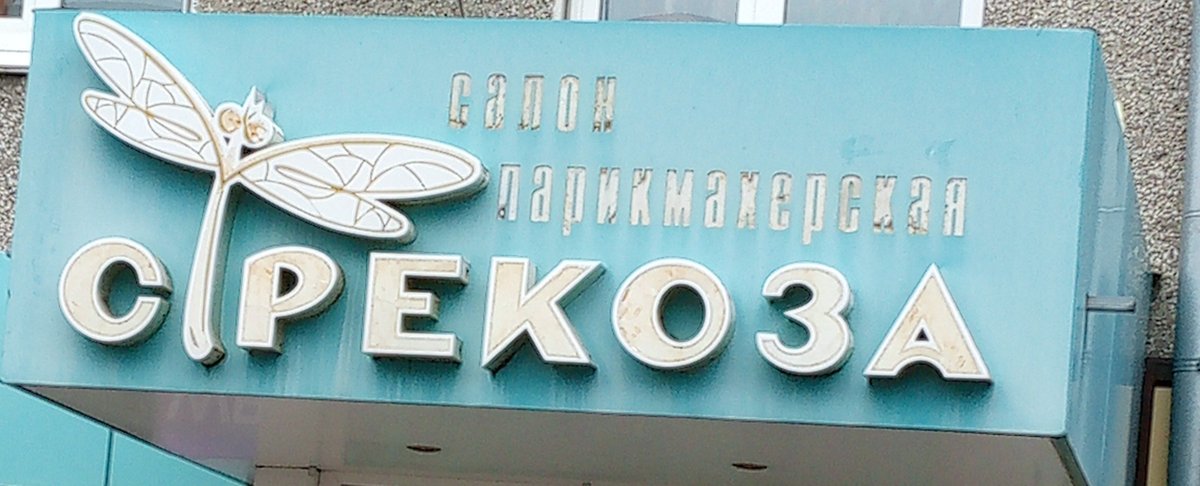 ну привет — aleshaa_chpd · Стрекоза
