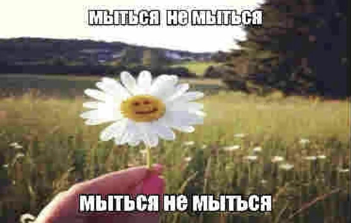 пойти на улицу не пойти пойти не пойти пойти не пойти — immemorial_silence · Стрекоза