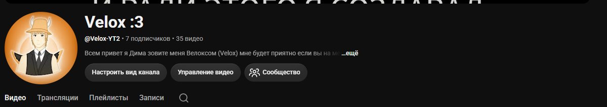 мой ютуб канал :3, в основном там странные видео... — Velox · Стрекоза