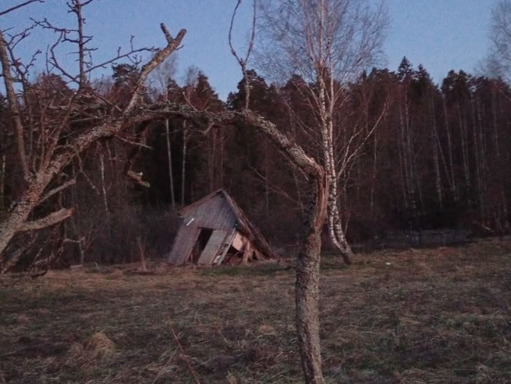 всё теперь когда я буду постить странную хуйню из пинтереста, она буд… — gerbariyy · Стрекоза