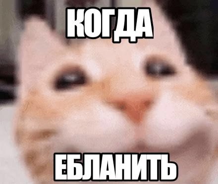 Наконец то домой — weezl7820 · Стрекоза