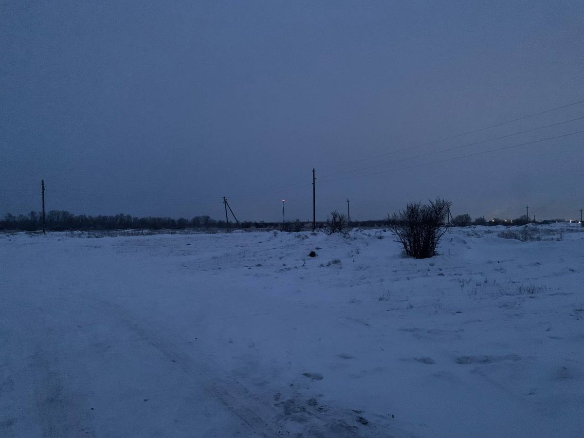 немного зимы, в этот летний день — reqwei · Стрекоза