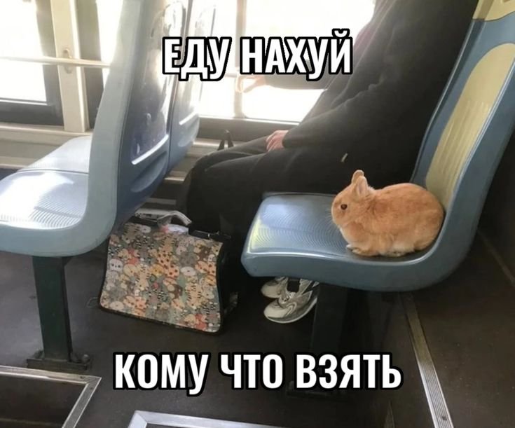 васап гайсы — Meficer · Стрекоза