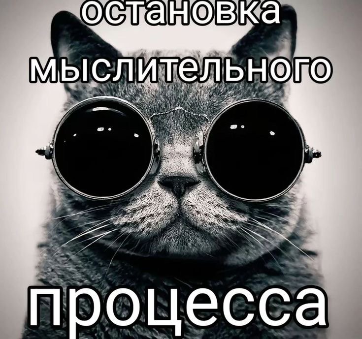 Это невероятно — djuzzo · Стрекоза