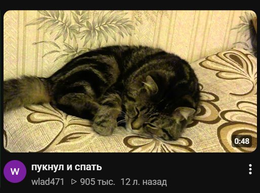 как прошёл день: — ollyfka · Стрекоза