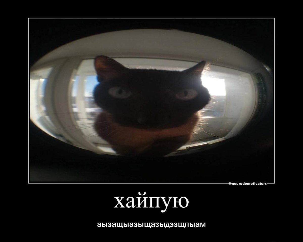 Иногда хочу ощущать себя как пушок на этом фото — Saintspring · Стрекоза