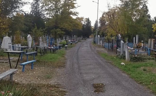 вот тут и буду лежать а лунтик бегать — immemorial_silence · Стрекоза