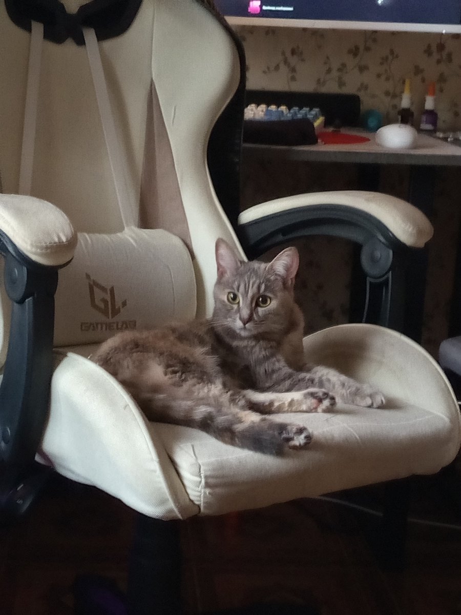 Всем здравствуйте, КОШЬКА, до свидания — Saffi_with_coffee · Стрекоза