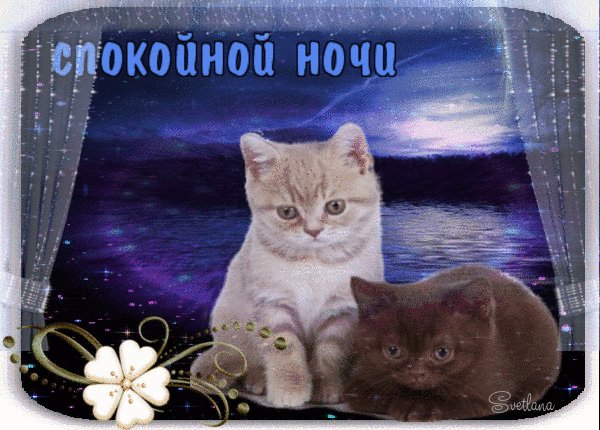доброй ночи друзья! хотела выкатить пост вечером, но задержалась в ху… — emiliaaoaa · Стрекоза