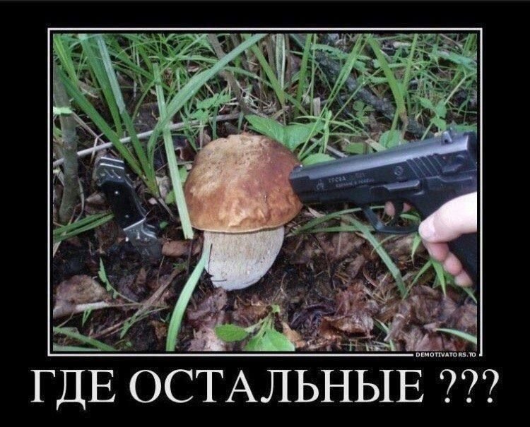 У меня большая библиотека в стиме, в том числе игры из моего детства,… — Baka_Sobacka · Стрекоза