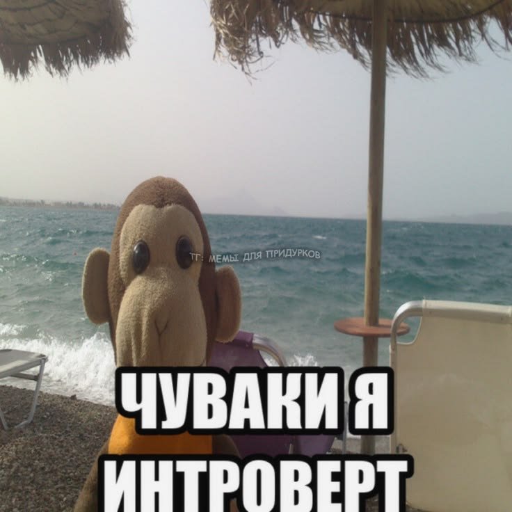НОВОРЕГИ НЕ БОЙТЕСЬ Я ДРУК — emiliaaoaa · Стрекоза