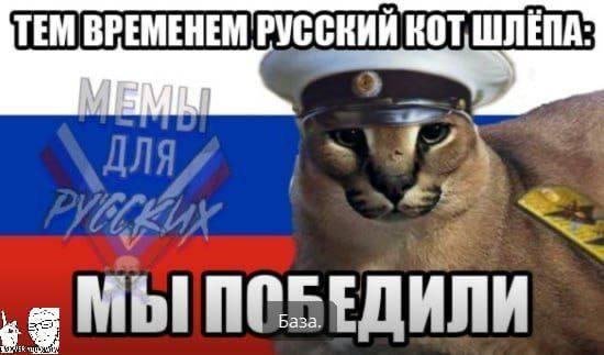 германия я прав и ты это знаешь — Hermetik · Стрекоза