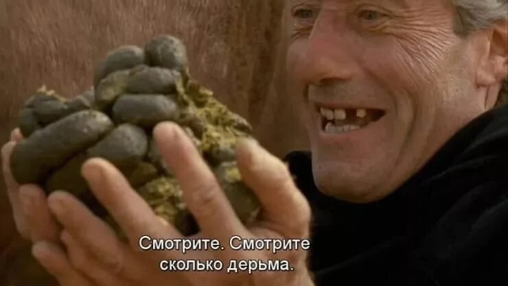 когда зашол в общественную туаленту на нишевой социальной сети стреко… — Qvk4JI_420 · Стрекоза