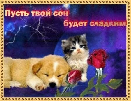 доброй ночи ещё раз. пожалуйста, правда ссориться между собой не стои… — emiliaaoaa · Стрекоза