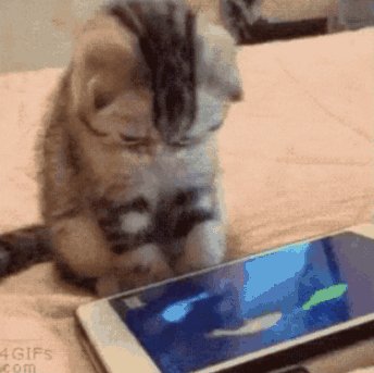 Категорически вас приветствую :3 — offline_soul.exe · Стрекоза
