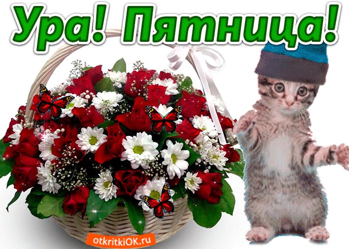 вскм доьрае утра !!!! — MinecraftSuperProHacker2011 · Стрекоза