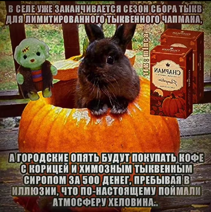 Всех с хелллоуином 🎃🎃 — Ker · Стрекоза