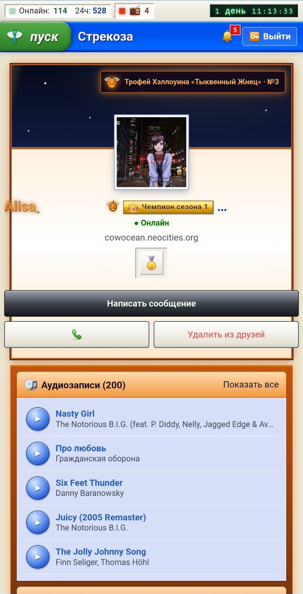 Крутой профиль ник улетел нахуй — Oklahoma_Mixer · Стрекоза