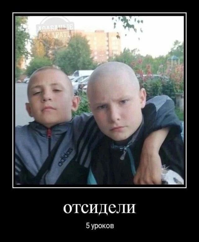 "Блат за блата за основу взята" © drocher21 — drocher21 · Стрекоза