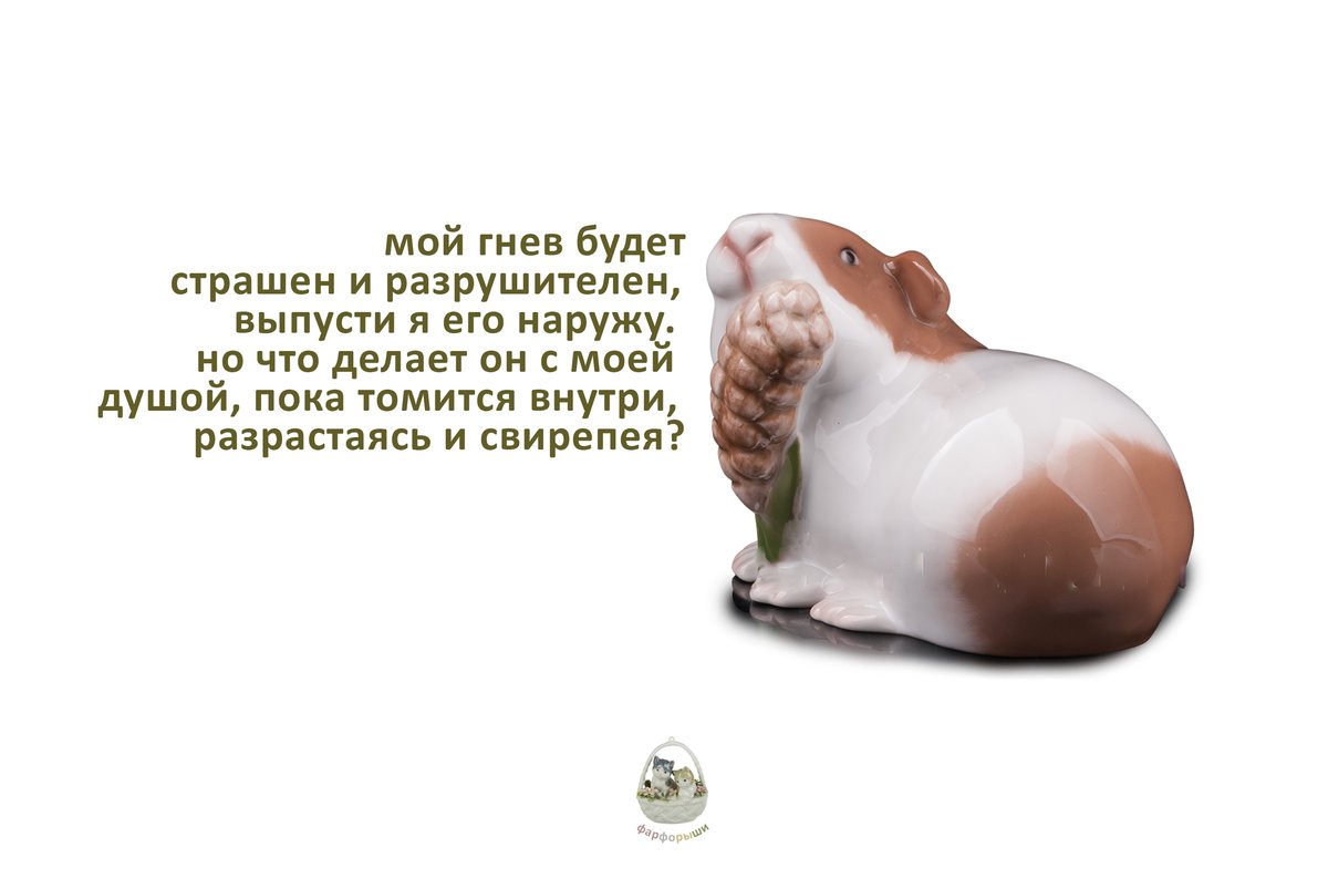 Че попить? Надо чтоб день нормально и быстро прошел и я успела всп — Govnonalopate · Стрекоза