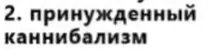 вот это больше всего нравится — wAs · Стрекоза