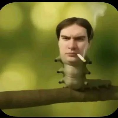Хочу хуярить в варкрафт, а не писать алгебру — BBOCHKA · Стрекоза