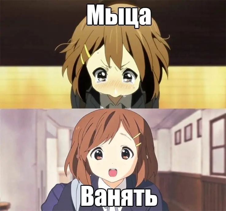 ладно кароч вот вам мем пайду в роблокс играт — musor · Стрекоза