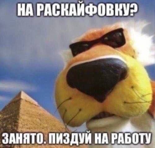 ыыыы опять работать (╯°□°)╯︵ ┻━┻ — trixxxter · Стрекоза