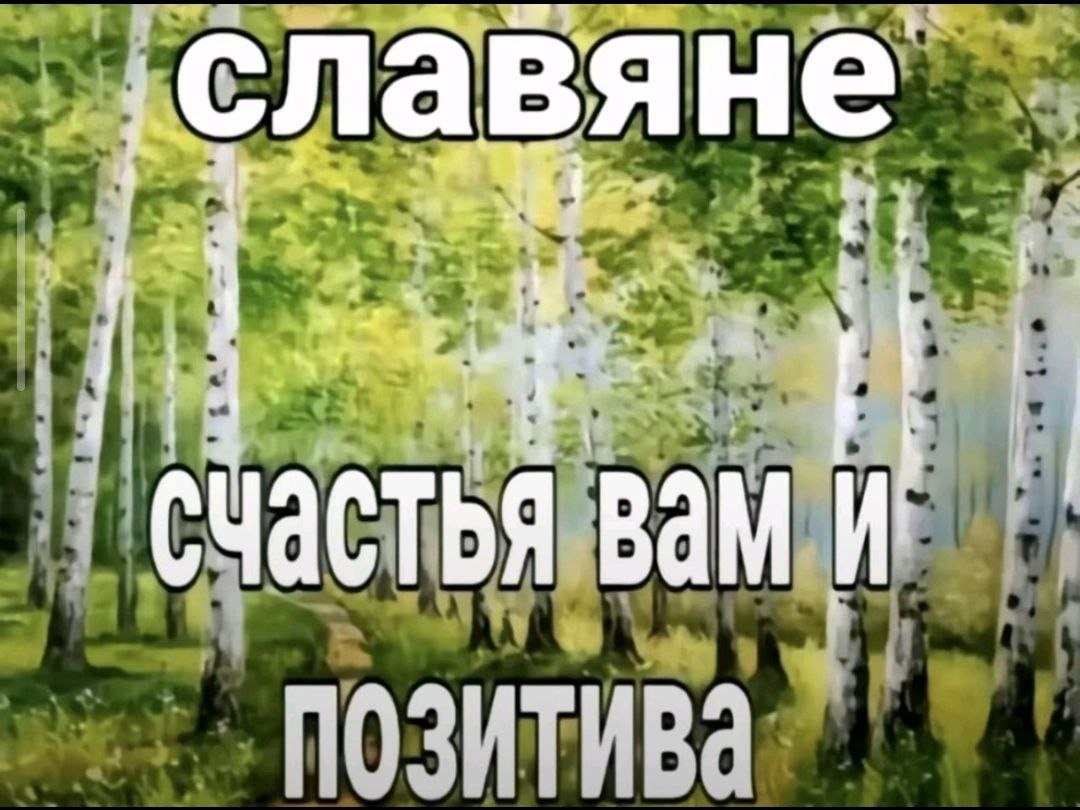 Всем привет я новенький тоже — Nerzul · Стрекоза