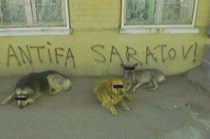 А вот сейчас я таки заварила чай и с глотка чую что мне пиздец Лишь б… — Govnonalopate · Стрекоза