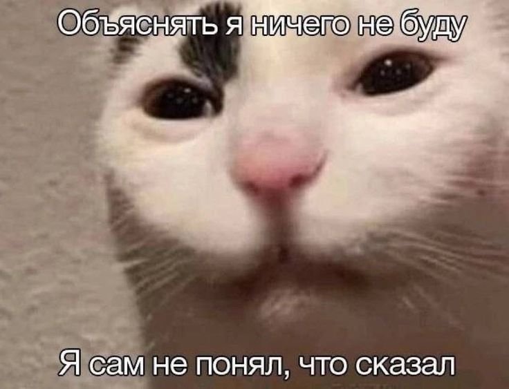 Держите ещё дозу котят — Мастер Вкида · Стрекоза