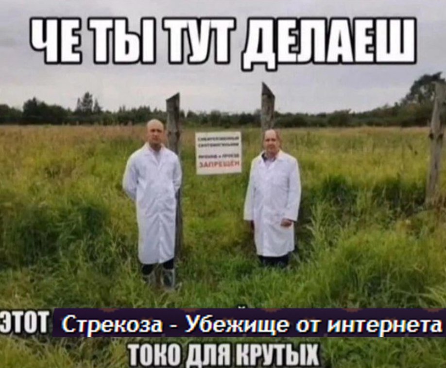 Как видят посты о новорегах и старорегах новые пользователи стрекозы: — neucorochen · Стрекоза