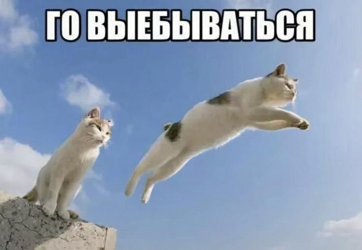 шпашмбо всем тепер мне радосна. всех люблю СПАСИБО МОИ ХОРОШЕВЫК — emiliaaoaa · Стрекоза