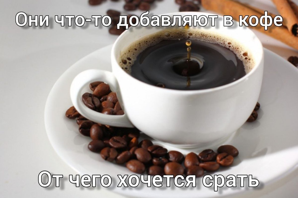 Завтра у меня будет очень тяжелый день — Hermetik · Стрекоза