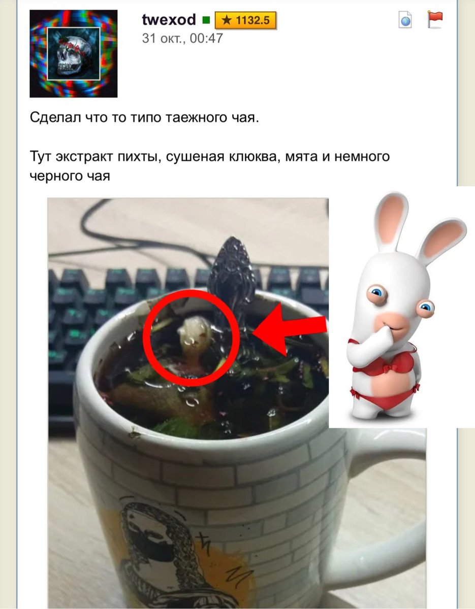 нахуя он утопил бешеного кролика в чае — immemorial_silence · Стрекоза