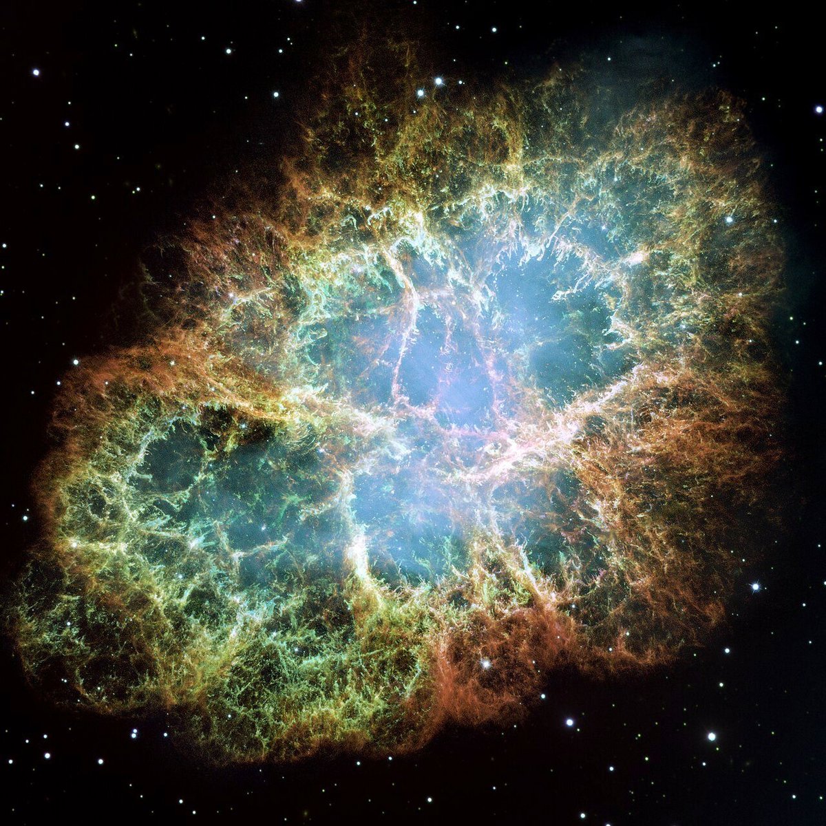 крабовидная туманность - остатки от сверхновой — cosmos · Стрекоза