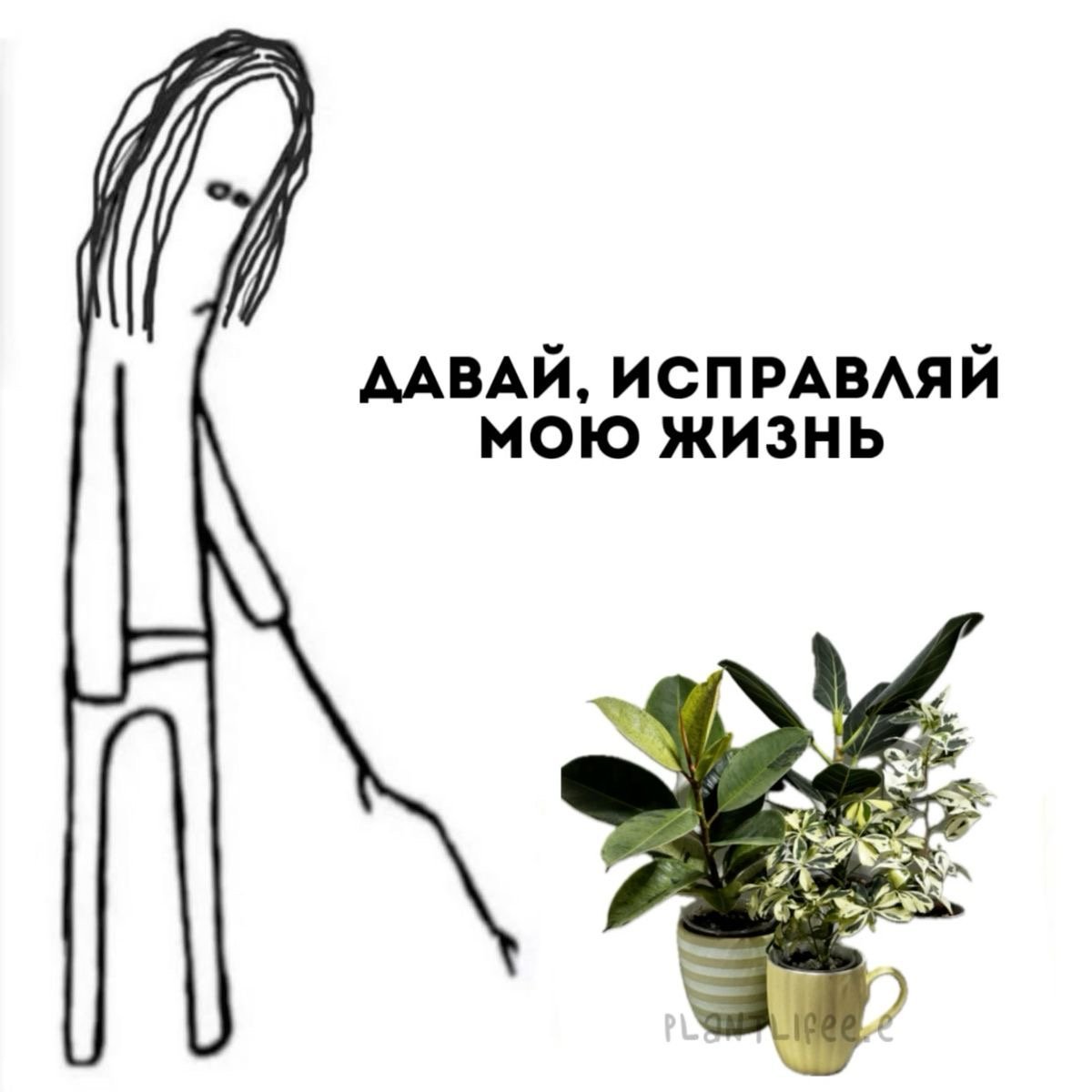 Я каждый раз когда у меня появляется новый цветок — MionaVT 🍄 Vtuber · Стрекоза