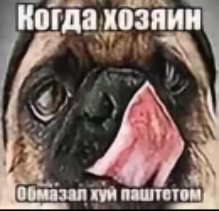 доброе утро всем я проснулся — soclose · Стрекоза