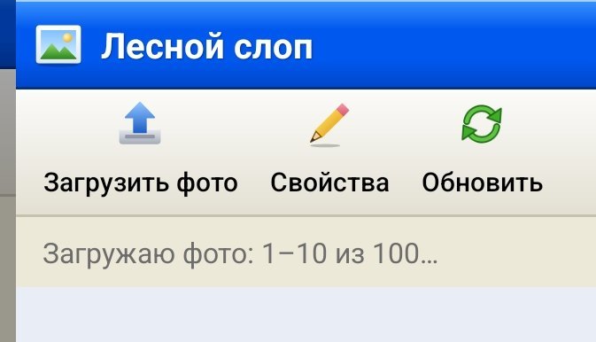 Ну что я такого сделал? Написано же было 300 фоток можно. Я даже мень… — Pal · Стрекоза