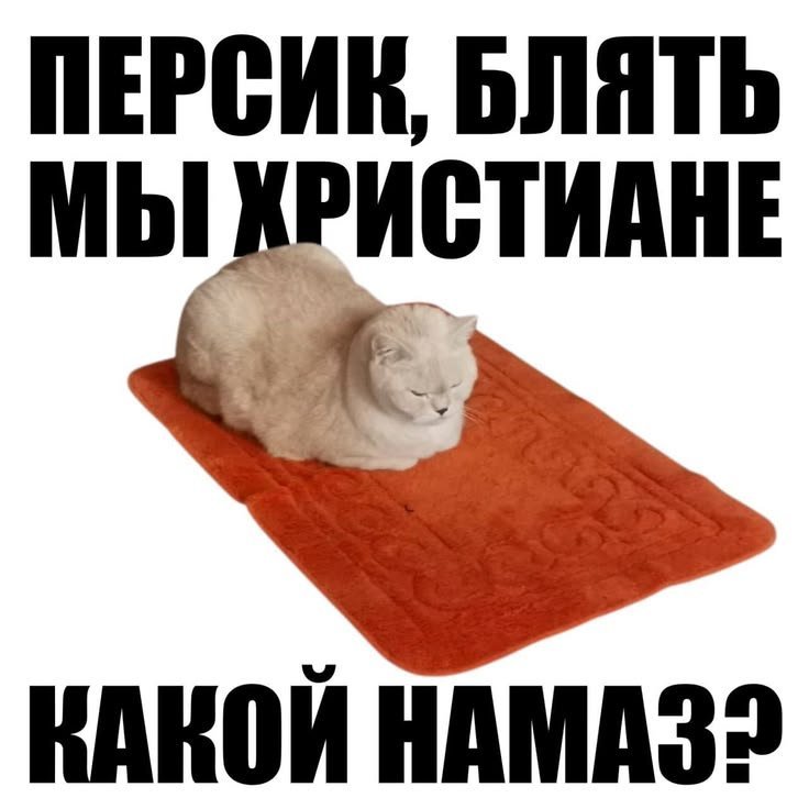 Пора укладываться спать, завтра рабочий день, хоть и не на 12 часов,… — Baka_Sobacka · Стрекоза